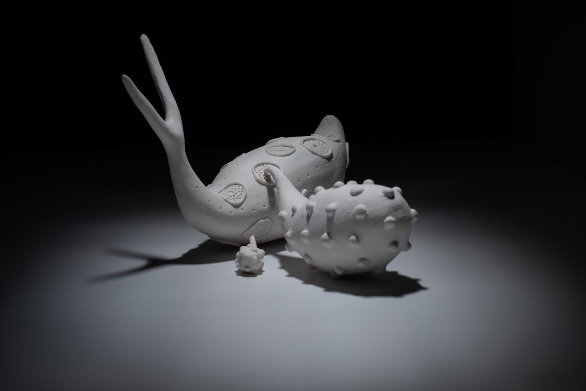 Christie Lange is one of Tasmania's premium ceramics artists.